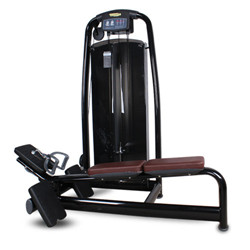 BFT2007 坐姿劃船樱桃视频污在线观看 拉背器械劃船機