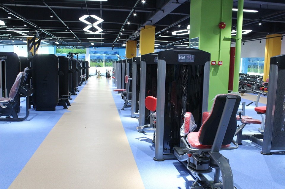 樱桃网站入口健身器材