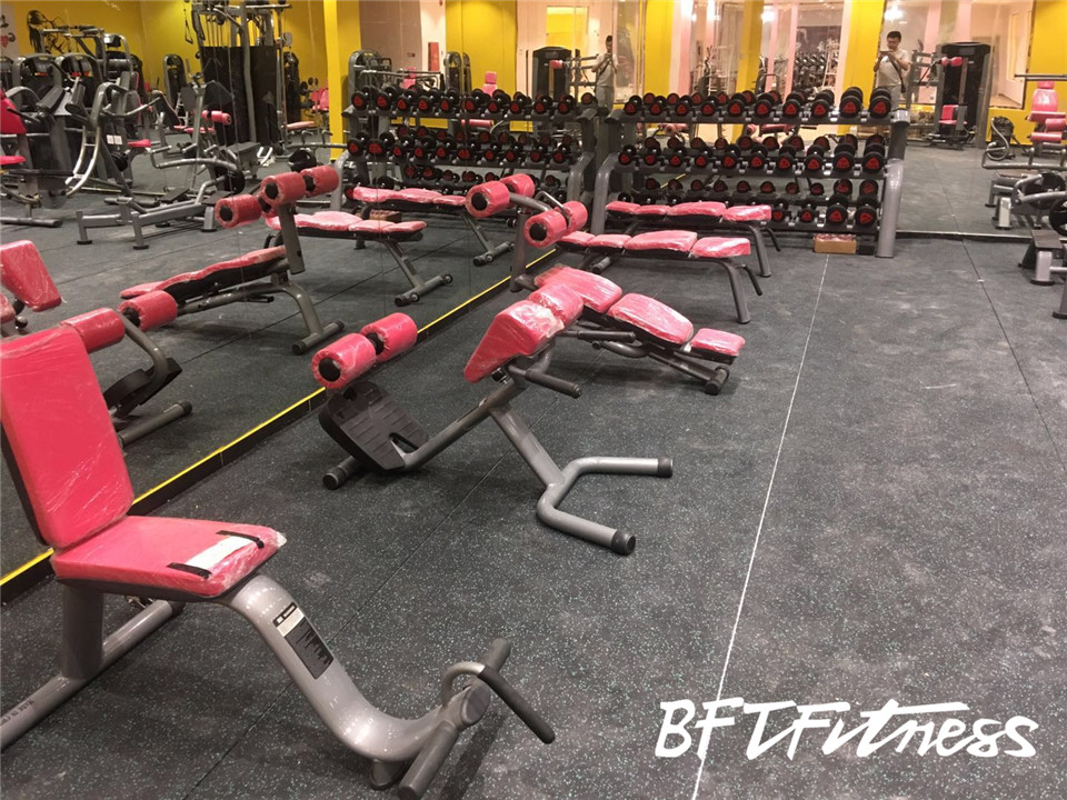 沙特女子健身房自由樱桃视频污在线观看